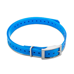 Hundehalsband Blau (1,9 cm)